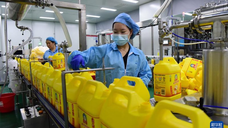 木材胶粘剂使用方法：关键步骤与注意事项